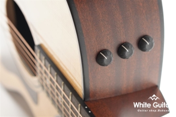 312ce 12Fret V-Class